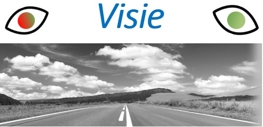 visie-1